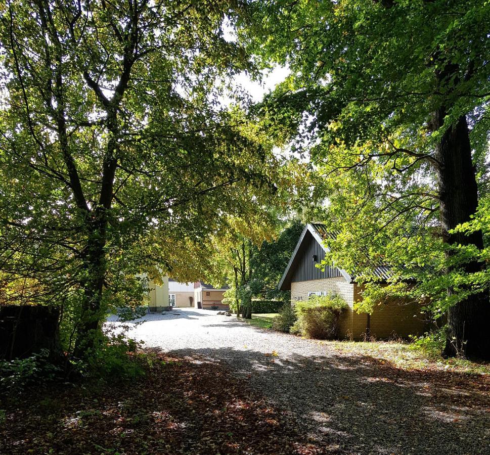 Pederstrup Bed And Breakfast Torrig Экстерьер фото