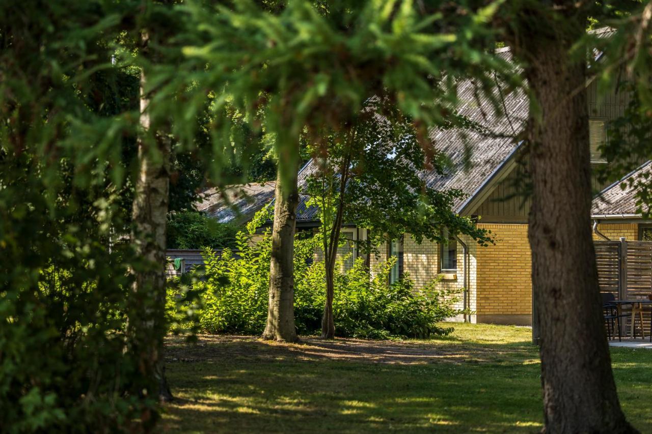 Pederstrup Bed And Breakfast Torrig Экстерьер фото