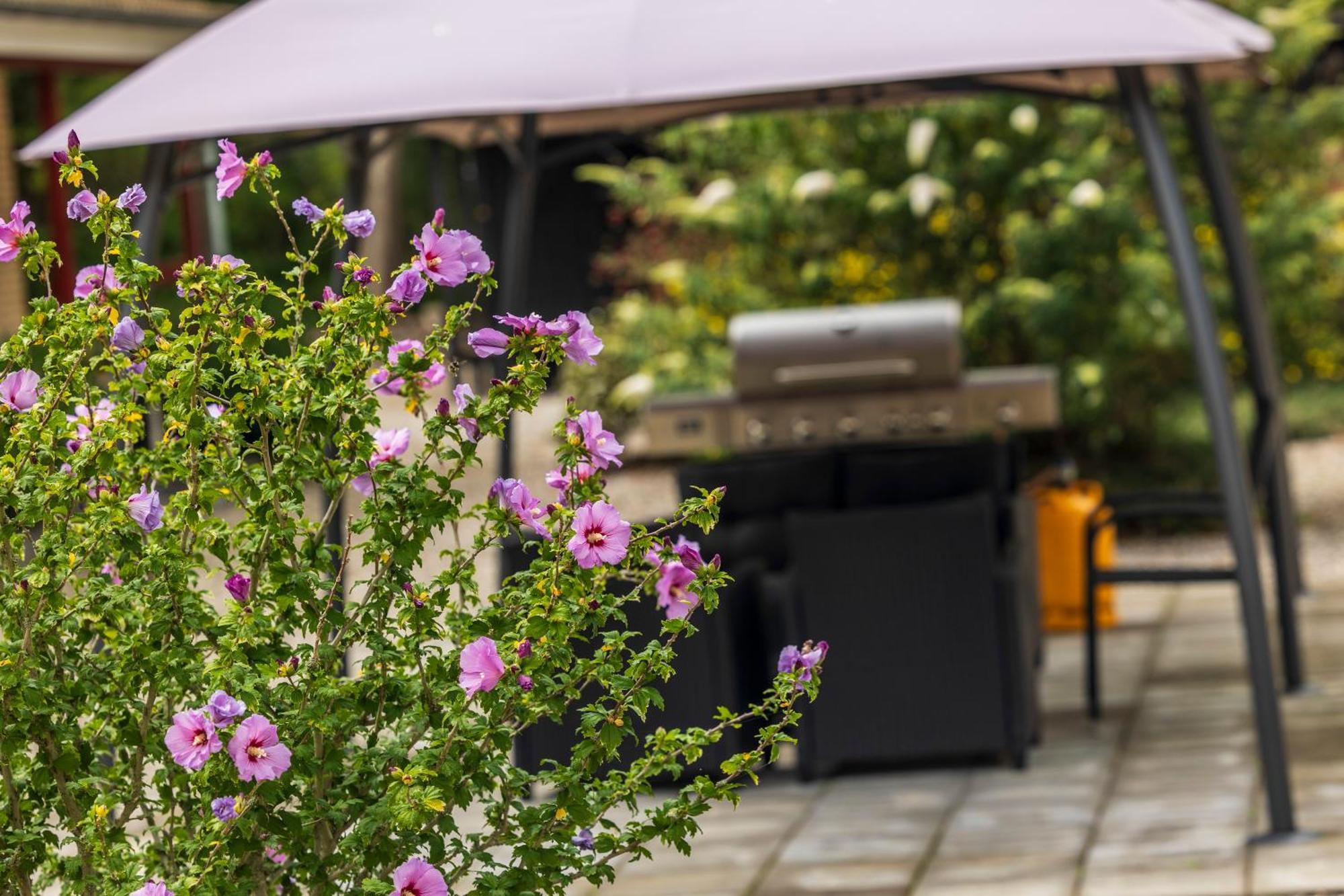 Pederstrup Bed And Breakfast Torrig Экстерьер фото